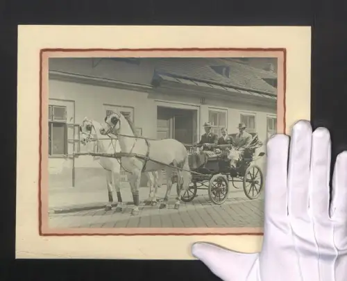 Fotografie Pferdekutsche mit zwei edlen weissen Rossen