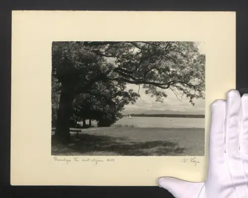 Fotografie W. Seeger, Ansicht Starnberger See, Blick auf den See, 1952