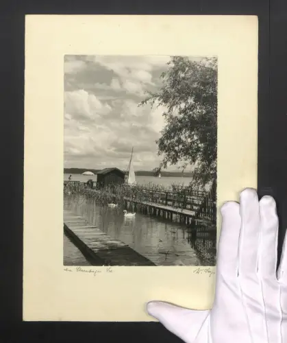 Fotografie W. Seeger, Ansicht Starnberg, Bootsanleger am Starnberger See mit Schwänen
