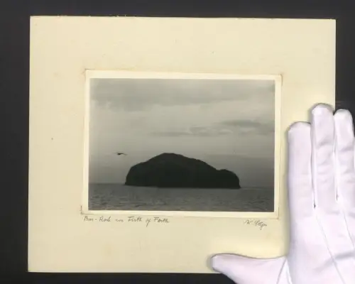 Fotografie W. Seeger, Ansicht Bass Rock, Blick auf die Insel im Firth of Forth in Schottland