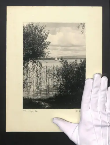 Fotografie W. Seeger, Ansicht Starnberg, Blick vom Ufer auf den Starnberger See mit Segelbooten