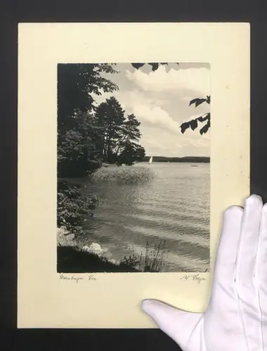 Fotografie W. Seeger, Ansicht Starnberg, Blick vpm Ufer auf den See mit Segelboot