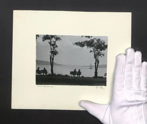 Fotografie W. Seeger, Ansicht Insel Reichenau, Blick von der Insel auf den Bodensee, Sieste am Untersee
