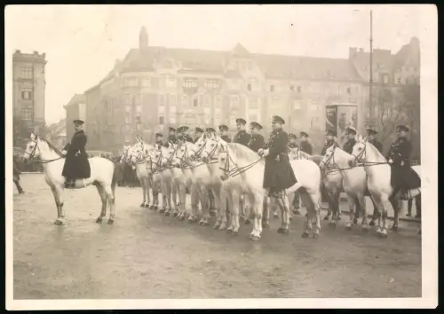 8 Fotografien Ansicht Wien, Berittene Polizei in Uniform und mit Stahlhelm, Antreten auf dem Paradehof