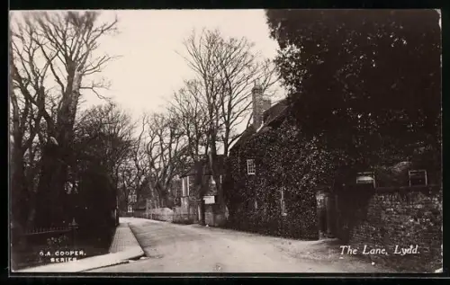 AK Lydd, The Lane