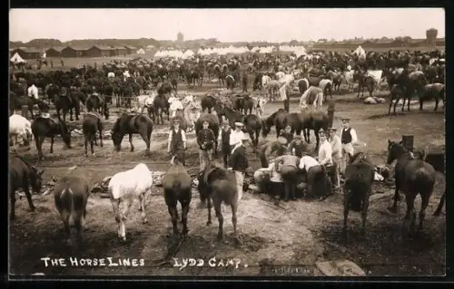 AK Lydd, The Horse Lines, Lydd Camp