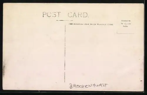 AK Brockenhurst, Panorama