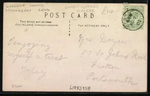 AK Warsash, Panoramic View