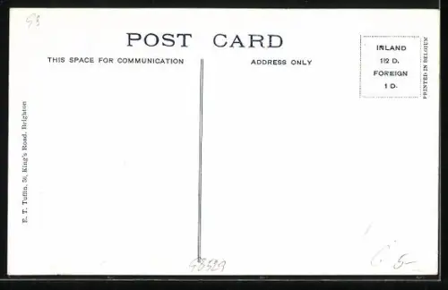 AK Brighton, Palace Pier