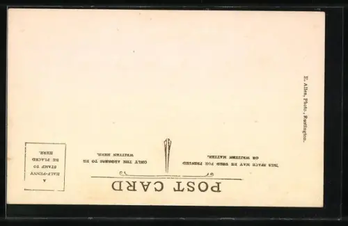 AK Rustington, The Marigolds