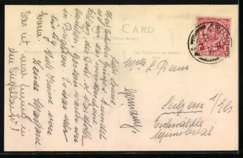 AK Arundel, The Black Rabbit