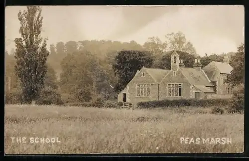 AK Peasmarch, The School