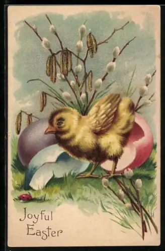 Präge-AK Osterküken ist aus buntem Ei geschlüpft