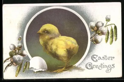 Präge-AK Osterküken mit Weidenkätzchen, Easter Greetings