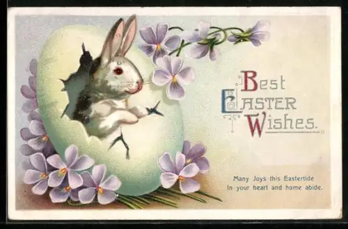 Präge-AK Osterhase guckt aus einem Ei heraus, Veilchen