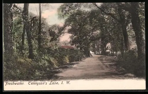 AK Freshwater, Tennyson`s Lane