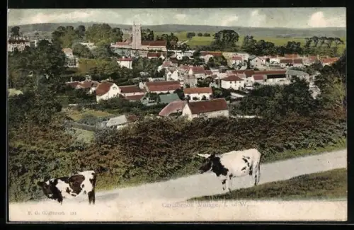 AK Carisbrook, Village