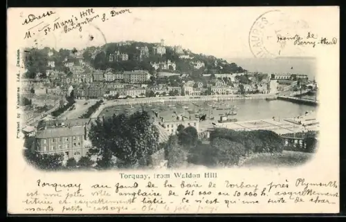AK Torquay, View from Waldon Hill
