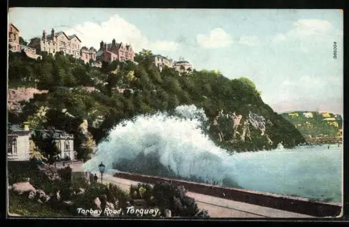 AK Torquay, Torbay Road