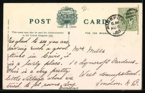 AK Braunton, General View