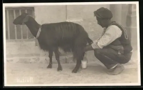AK Malta, Man milking a goat