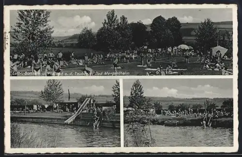AK Bad Mergentheim, Wasserpartie mit Badenden
