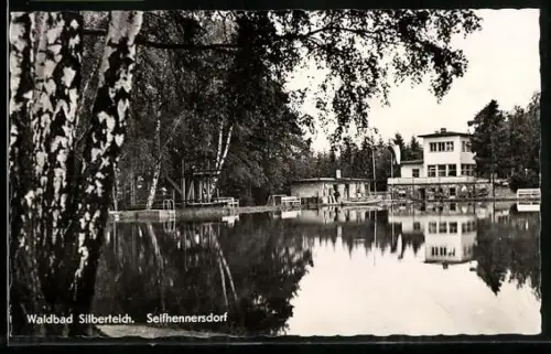 AK Seifhennersdorf /O. L., Waldbad Silberteich