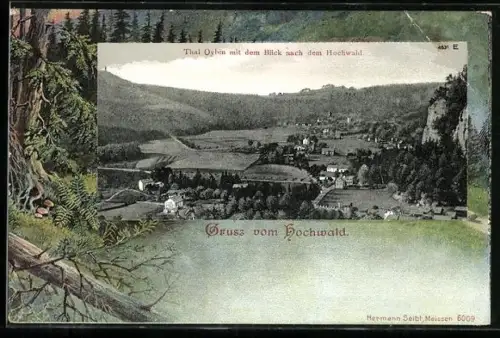 AK Oybin, Blick nach dem Hochwald