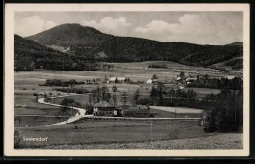 AK Saalendorf /Zittauer Gebirge, Ortsansicht mit Hügeln
