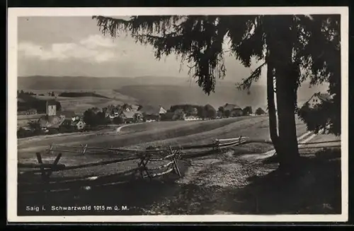 AK Saig /Schwarzwald, Ortsansicht mit Hügeln