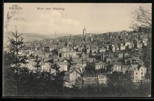 AK Siegen, Blick vom Häusling auf die Stadt