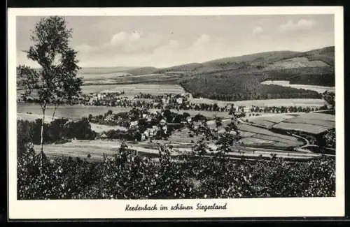 AK Kredenbach /Siegerland, Gesamtansicht, Landschaft