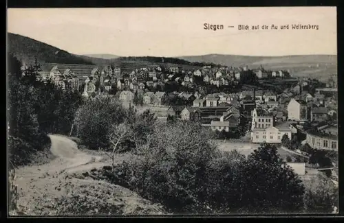 AK Siegen, Blick auf die Au und Wellersberg, Ortsansicht