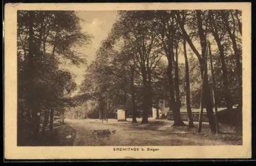 AK Siegen, Eremitage, Panorama