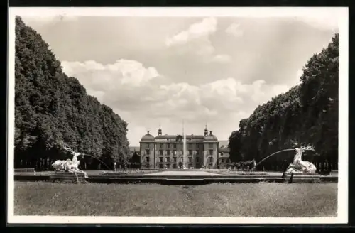 AK Schwetzingen, Schlossgarten, Blick zum Schloss