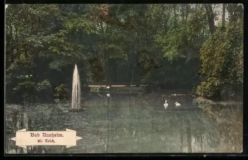 AK Bad Nauheim, Kl. Teich mit Fontäne