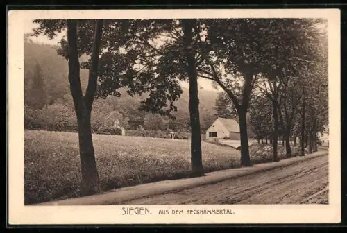 AK Siegen /Reckhammerntal, Allee, Wiese, Bauernhaus