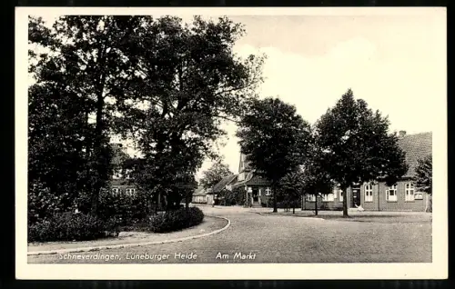 AK Schneverdingen /Lüneburger Heide, Am Markt