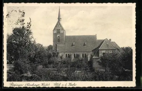 AK Bispingen /Lüneburger Heide, Blick auf die Kirche