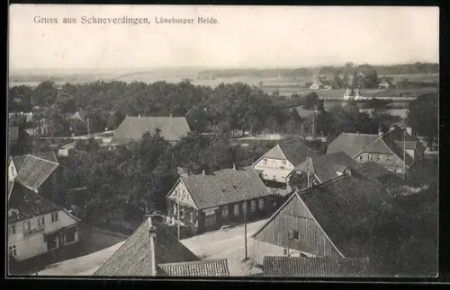 AK Schneverdingen /Lüneburger Heide, Ortsansicht mit Wohnhäusern und Landschaft