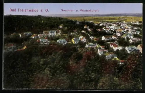 AK Bad Freienwalde a. O., Sommer- und Winterkurort