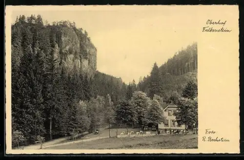 AK Oberhof in Thüringen, Gasthaus Falkenstein, Waldlandschaft