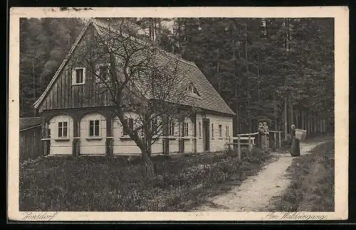 AK Jonsdorf, Weg zum Waldeingang