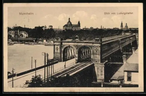 AK Mannheim, Blick von Ludwigshafen, Rheinbrücke und Stadtansicht