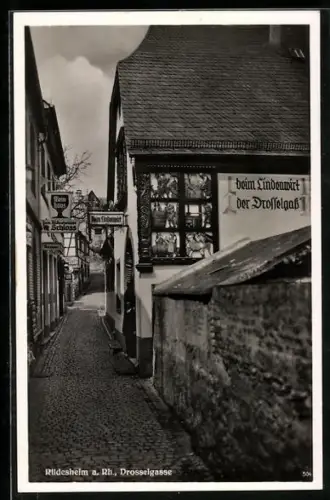 AK Rüdesheim a. Rh., Drosselgasse, Gasthaus beim Lindenwirt