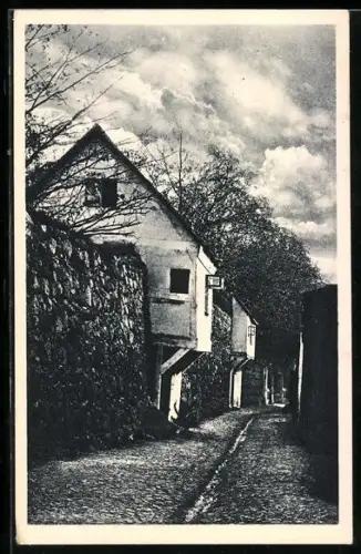 AK Neubrandenburg, Wiekhäuser an der Stadtmauer