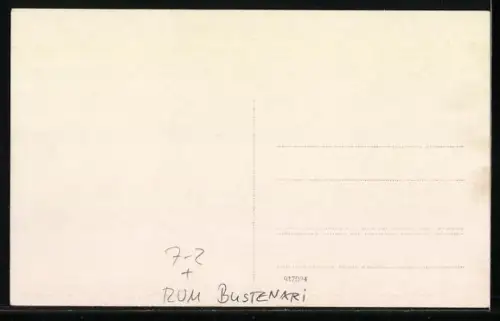 AK Bustenari, Panorama