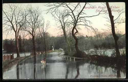 AK Esher, Hersham Road during flood
