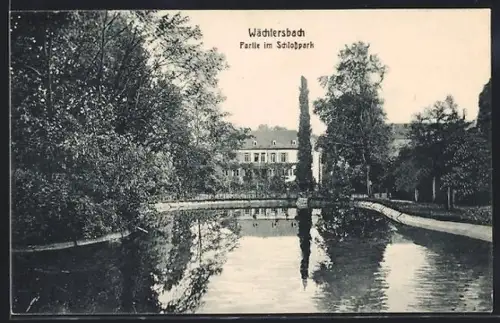 AK Wächtersbach, Partie im Schlosspark