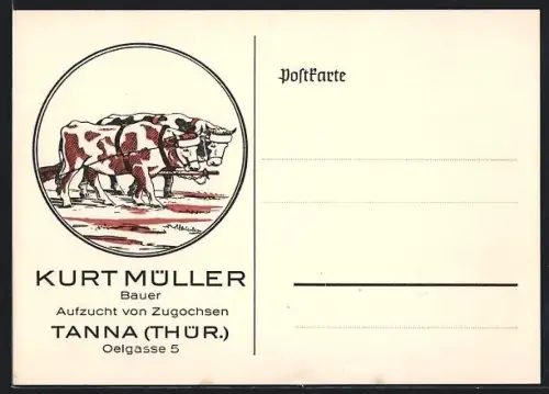 Künstler-AK Tanna /Thür., Bauer Kurt Müller, Aufzucht von Zugochsen, Oelgasse 5, Ochsengespann